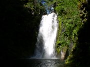 5.29.06 Siouxon Creek 036 